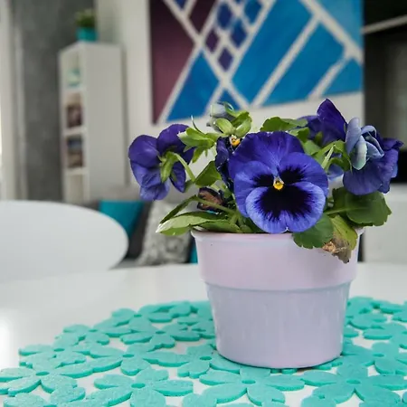 Apartament Winogrady Hawelanska * Posen