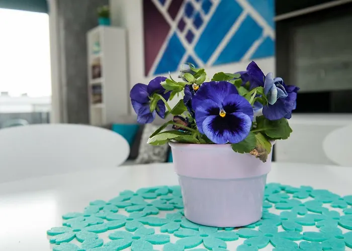 Winogrady Hawelanska * Poznaň